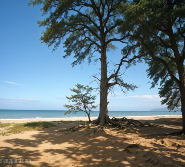 Pemandangan di Pantai Teluk Ketapang