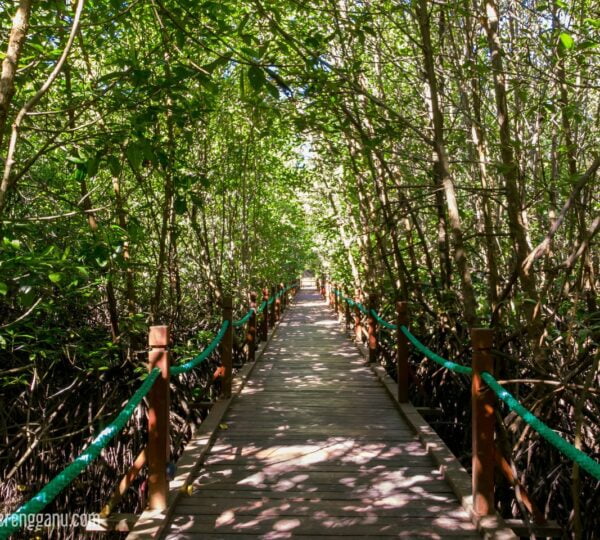 Setiu Wetlands