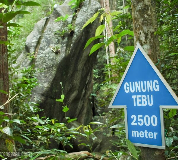 Gunung Tebu