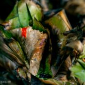 Satar Ikan Terengganu