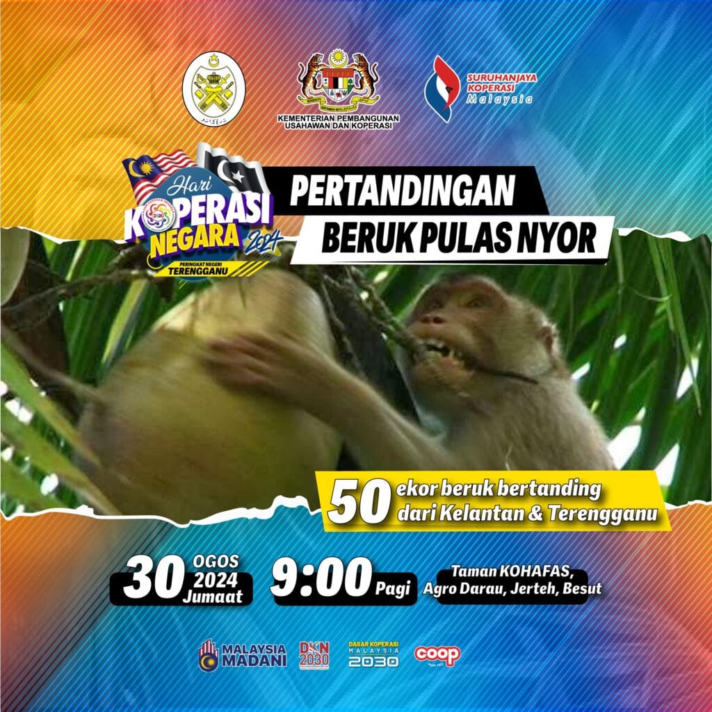 Pertandingan Beruk Pulas Nyor