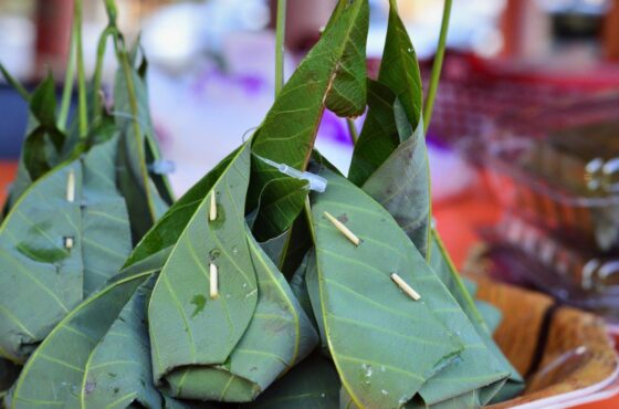 Tapai Daun Getah Terengganu