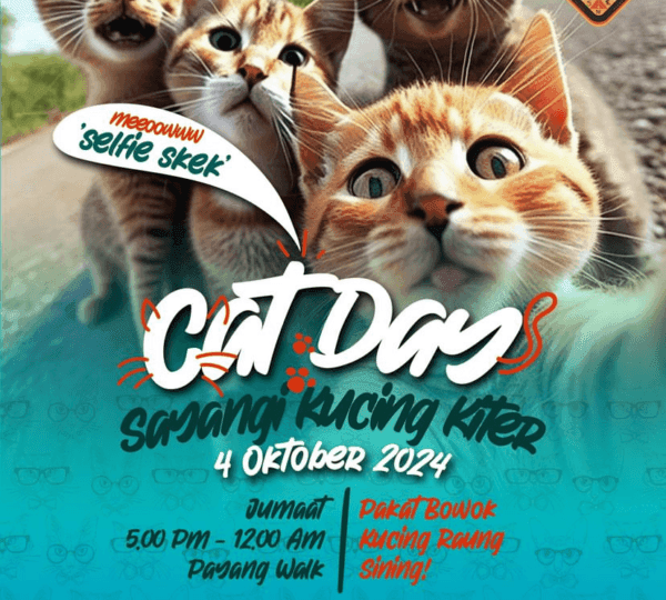 Cat Day Payang Walk